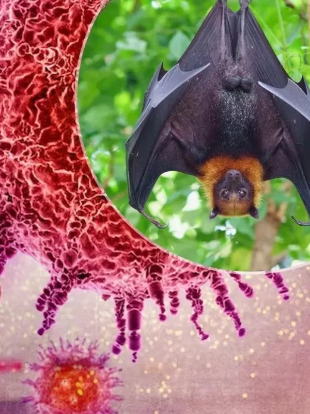 nipah virus: भारत के लिए खुशखबरी, दिमाग में घुसने वाले खतरनाक वायरस का पहला टीका आएगा!