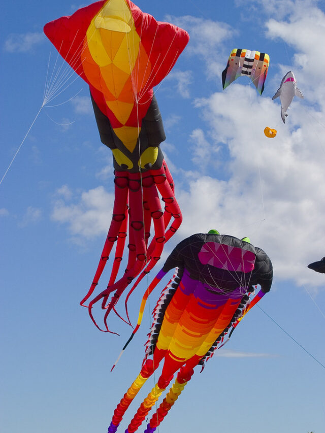 Basant Panchami 2024: बसंत पंचमी पर अनोखे उपाय; शिक्षा में सफलता की गारंटी